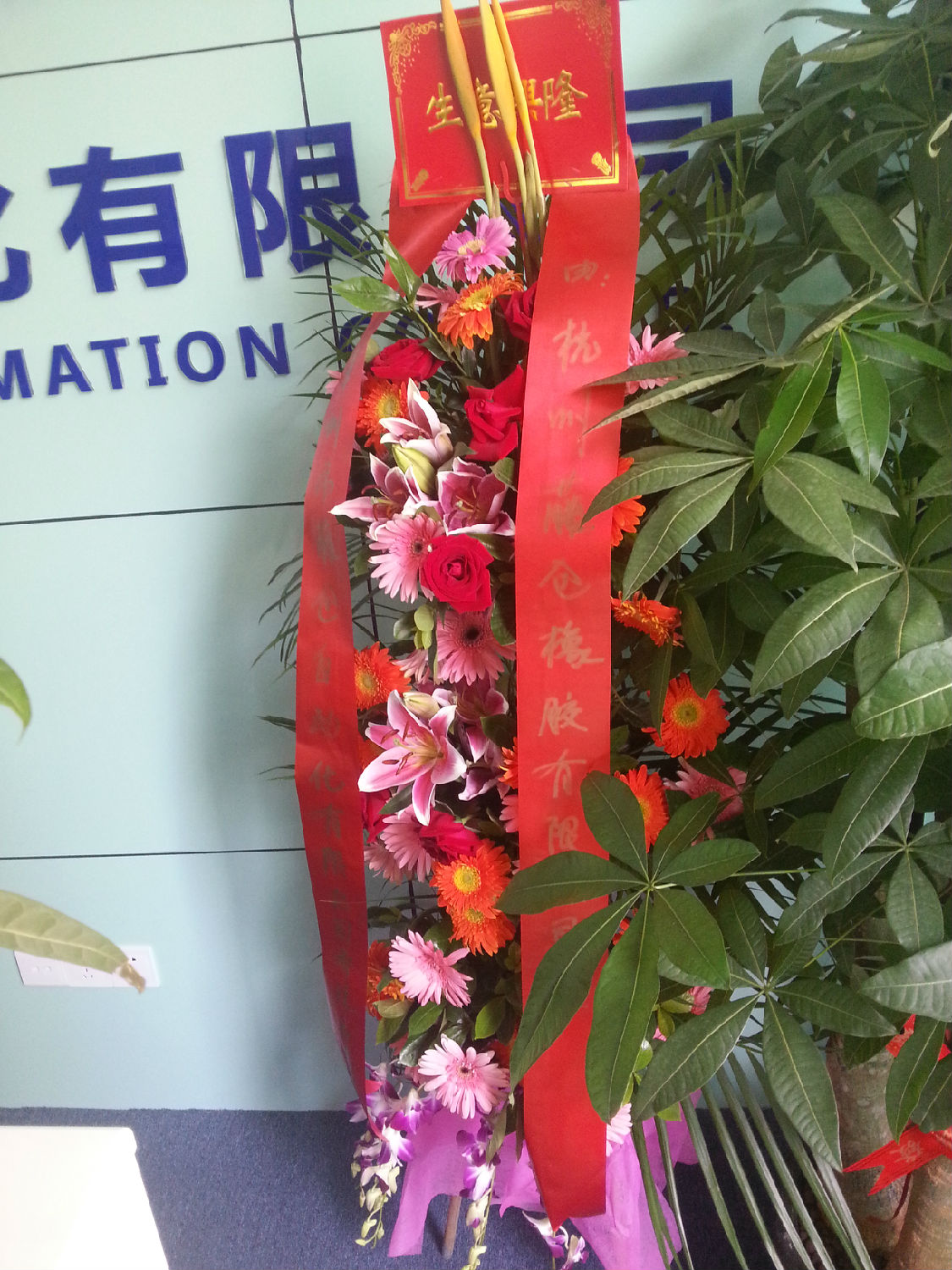 杭州藤倉(cāng)橡膠 杭州藤倉(cāng)橡膠