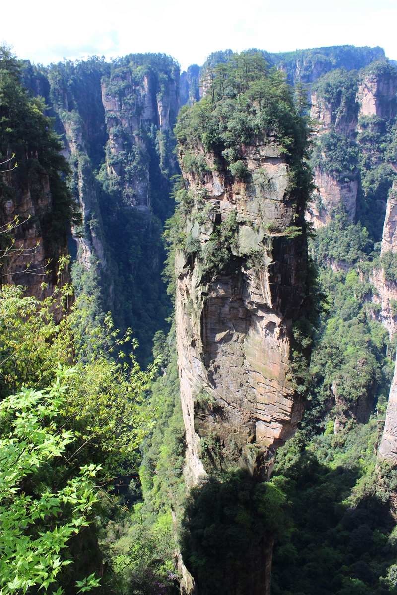 IMG_3916.jpg IMG_3916.jpg